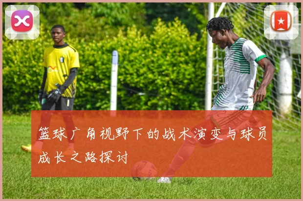 篮球广角视野下的战术演变与球员成长之路探讨