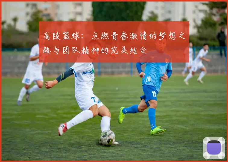 高陵篮球：点燃青春激情的梦想之路与团队精神的完美结合