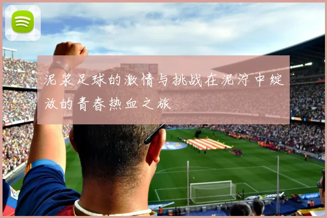 泥浆足球的激情与挑战在泥泞中绽放的青春热血之旅
