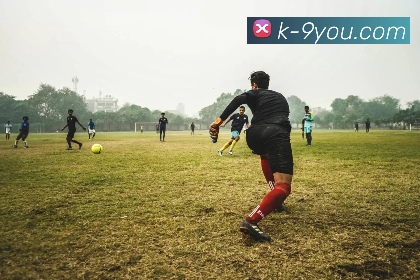 九游体育中国品牌故事