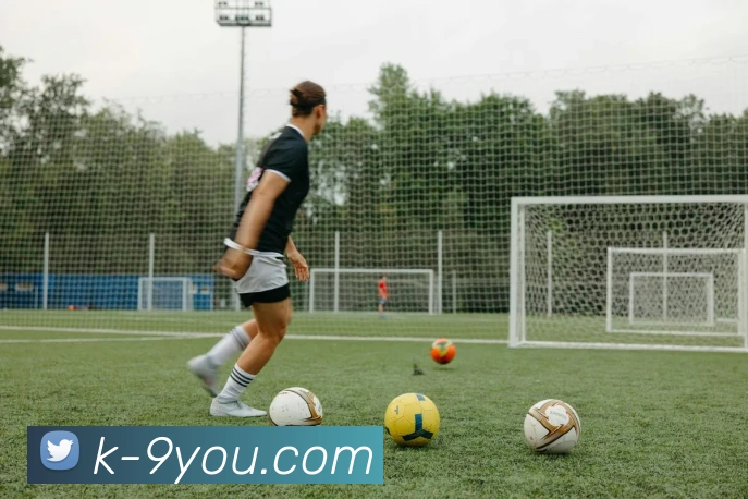 九游体育中国服务体系